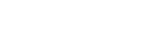 VACEOs logo